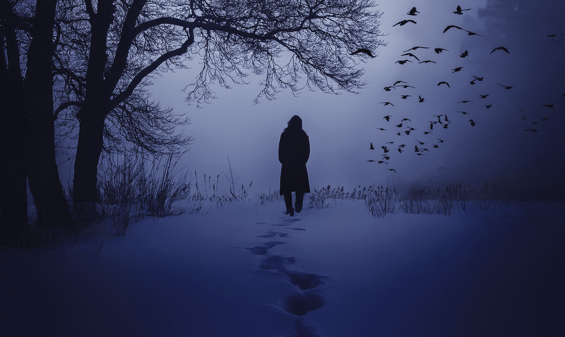 Dark December: the darkest Advent calendar in television history.